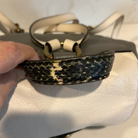 COACH Colorblock Snake Print Leather Evie backpack EUC - Picture 3 of 13